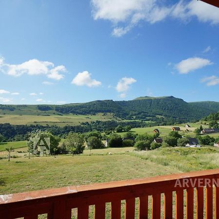 Chalet De Solene Chambon-sur-Lac Exterior photo